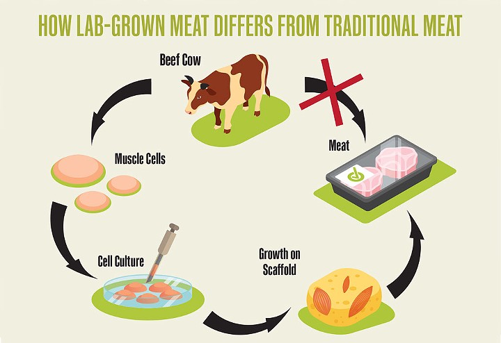 How lab-grown meat differs from traditional meat - SOURCE: RACHAEL FLOREANI AND IRFAN TAHIR