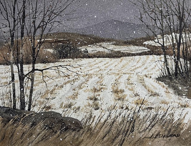 "November Field" by Joey Bibeau - COURTESY