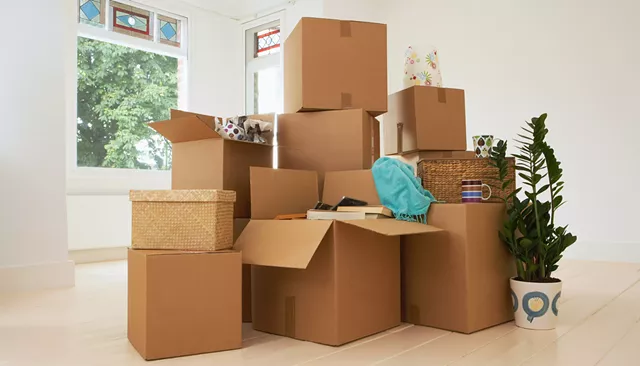 Have You Moved Into or Away From Vermont Recently? Why?