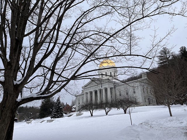 Vermont Statehouse - ANNE WALLACE ALLEN ©️ SEVEN DAYS