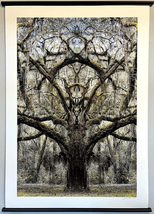 "Spirit Trees: South Carolina, Untamed, Tribal and Sacred" by Julie Parker - COURTESY OF MRV ARTS
