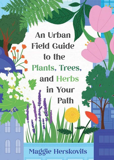 An Urban Field Guide to the Plants, Trees, and Herbs in Your Path by Maggie Herskovits - COURTESY OF MAGGIE HERSKOVITS