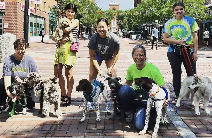 Best dog training company