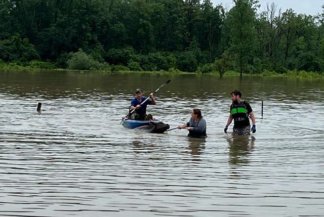 A cow in a flooded pasture - COURTESY/SAM CRAWFORD