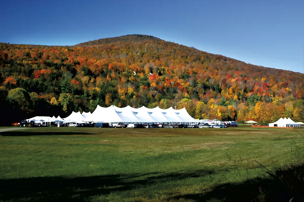 Stowe Foliage Arts Festival - COURTESY