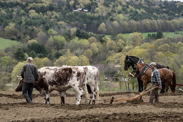 Billings Farm & Museum in Woodstock