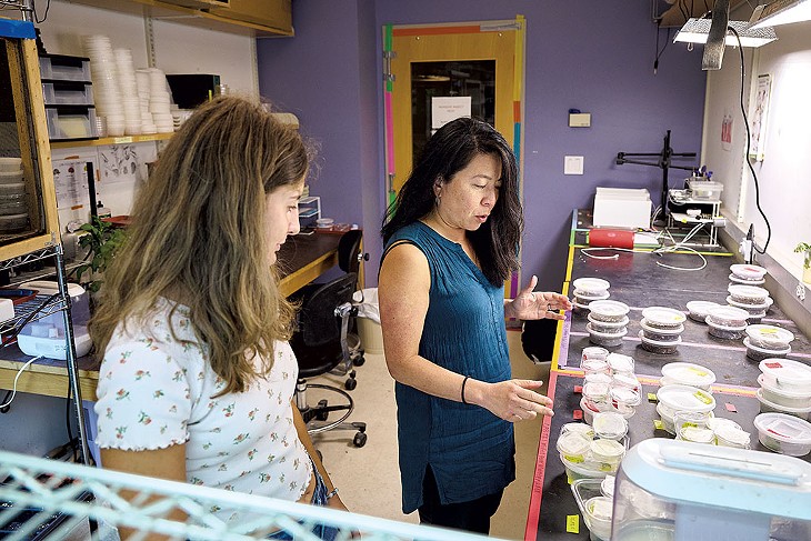 Yolanda Fanslow Chen, right, working with research student Lamija Šemić - BEAR CIERI