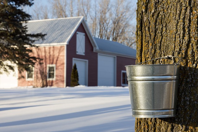 Maple sugaring - DREAMSTIME