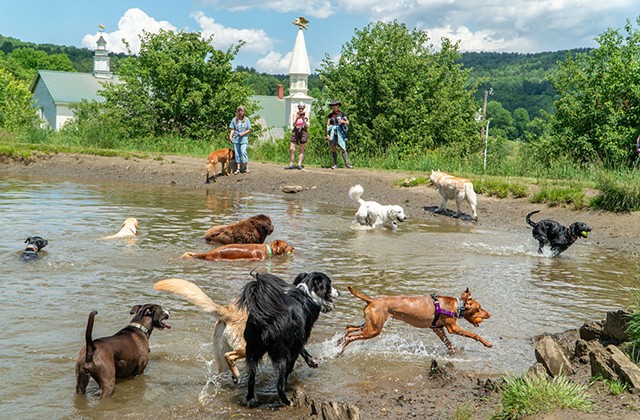 Fall Dog Party - COURTESY OF CRAIG HARRISON