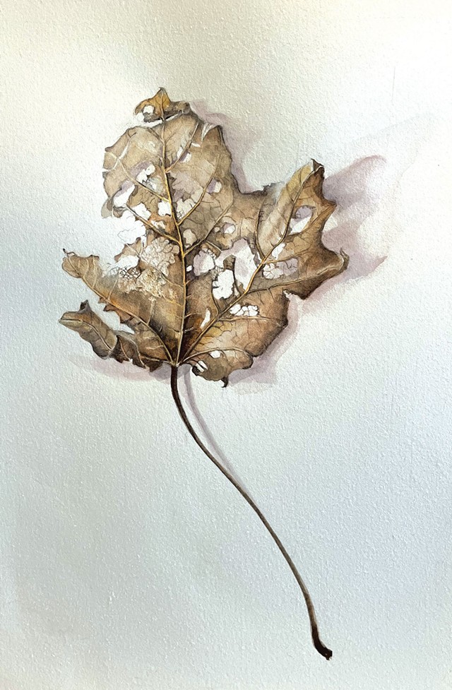 &quot;Maple Leaf, March&quot; by Susan Bull Riley - ALICE DODGE