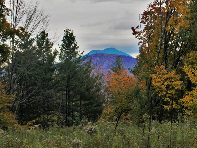 View of Camel's Hump from the land proposed for Richmond town forest - COURTESY PHOTO BY OLIVIA WOLF