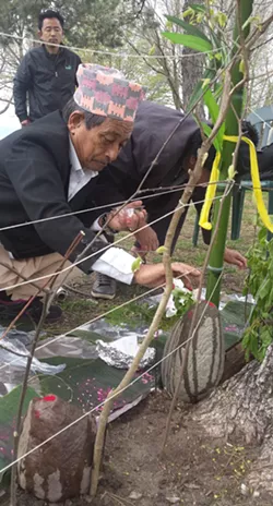 Nepali Communities Celebrate Sansari Puja and Buddha Jayanti