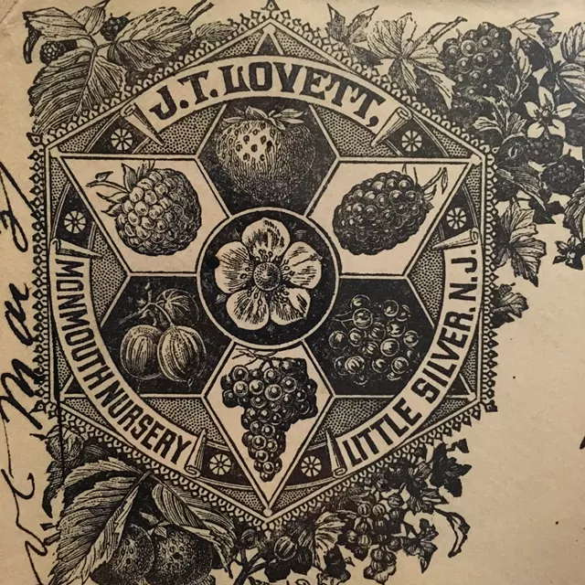 Special Collections: the Assemblages of Pat Laffin