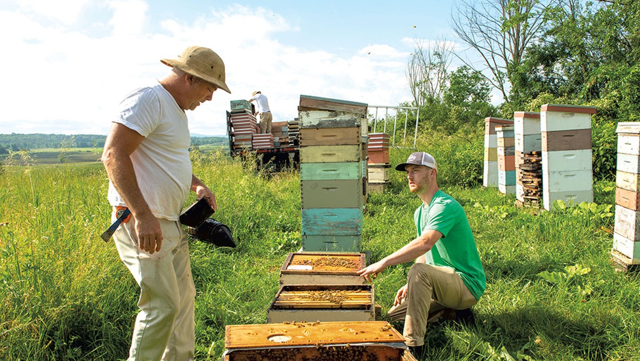 Beekeepers are struggling to keep up with farms' pollination needs