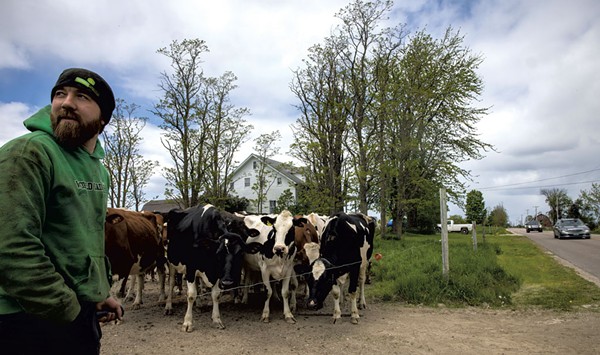 In Chittenden County, a Century-Old Dairy and a High-Profile Diversified Farm Hold Out Against Suburban Development