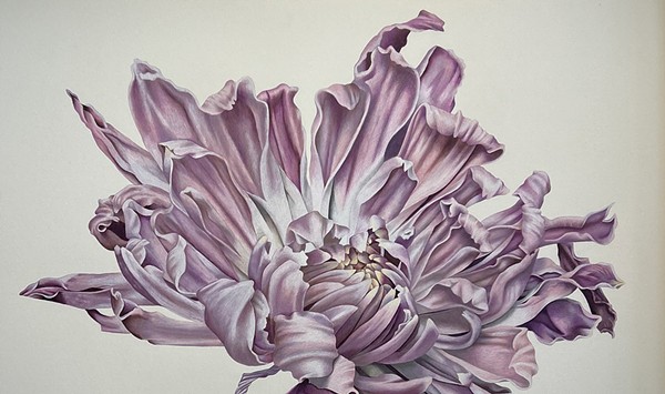At the Phoenix Gallery, the Group Show “Flora” Is Like a Field of Wildflowers