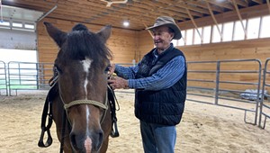 An Australian Horse Whisperer Offers His Talents to Vermont's Amish Community