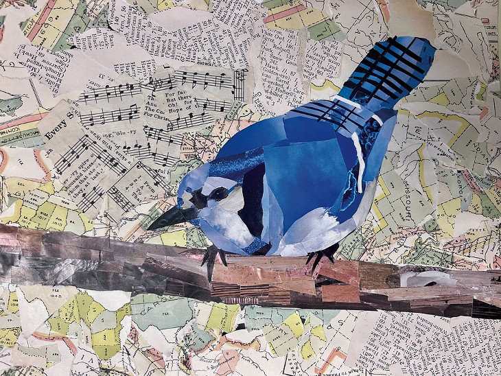 Avian Collages