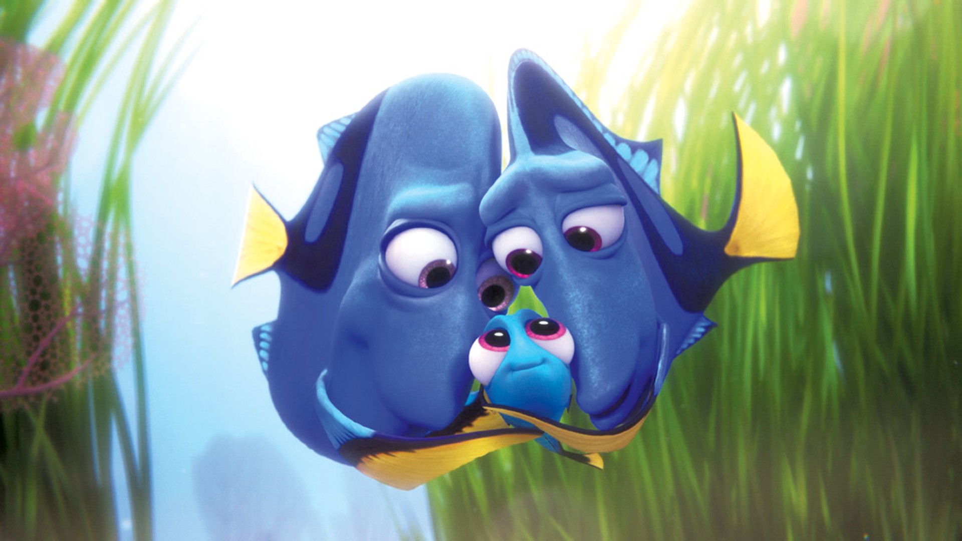 BLUE TANG CLAN The title character’s childhood idyll doesn’t last long in Pixar’s sequel to its 2003 under-the-sea hit.