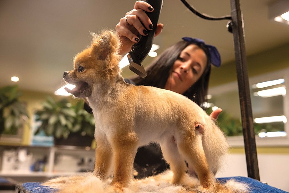 Abbey Maynard grooming Wesley - JAMES BUCK