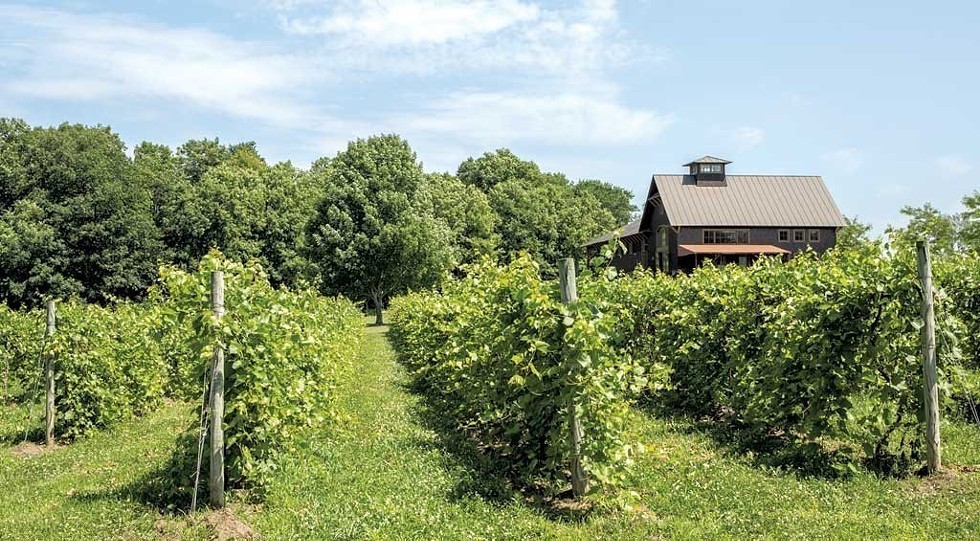 Shelburne Vineyard - OLIVER PARINI