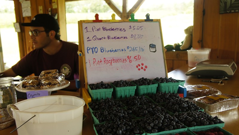 Berries for sale at Charlotte Berry Farm