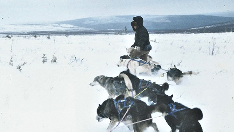 Bathsheba Demuth with sled dogs
