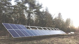 Solar panels at Bear Roots Farm