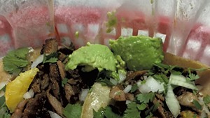 Tacos at Taco Gordo