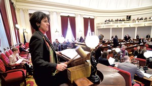 House Speaker Mitzi Johnson