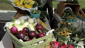 Produce and flowers at Vergennes Farmers Market