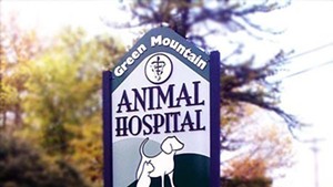 Best veterinarian/animal hospital