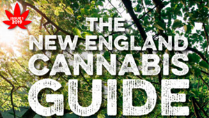 Heady Vermont's new guide