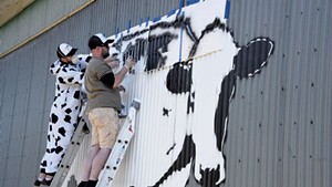Middlesex artist DJ Barry (in cow suit) and New York City artist DJ Barry painting a World Cow in Montpelier