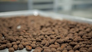 Cocoa almonds