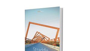 Straddle by David Cavanagh, Salmon Poetry, 66 pages. $21.