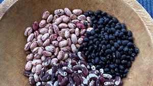 Vermont cranberry and black beans from Lewis Creek Farm and Jacob's Cattle beans from Morningstar Farm