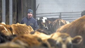 Rep. Rodney Graham at his dairy farm in Williamstown