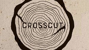 Quick Lit: 'Crosscut' by Poet Sean Prentiss