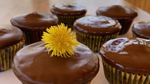 Nancy Cain's Cocoabean Cupcakes