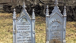 Johnson Plot Cemetary graves