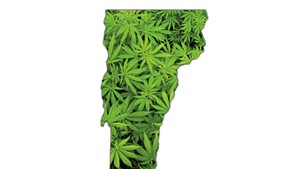 Senator Unveils Vermont Marijuana Legalization Bill
