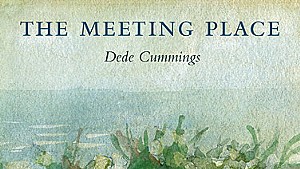 The Meeting Place by Dede Cummings, Salmon Poetry, 102 pages. $14.95.