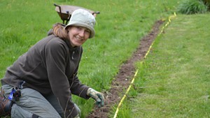 Silvia Jope planting a bare root hornbeam hedge