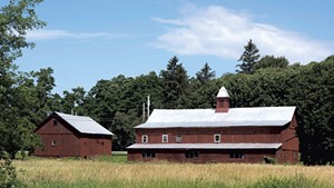 Clemmons Family Farm in 2017