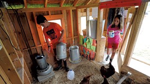 Twins Jordan and Taylor Parker-Martin, 10, feed the chickens