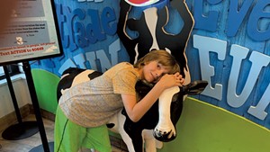 Theo hangs out with a cow at Ben & Jerry's on Church Street