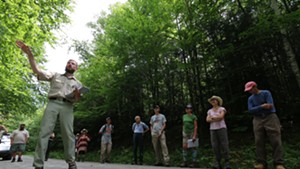 James Donahey, silviculturist for the Rochester Ranger District, leads a tour last year of timber areas of the Green Mountain National Forest