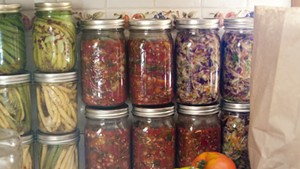 Harvest ferments: dilly beans, salsa, kimchi-kraut, oh my!
