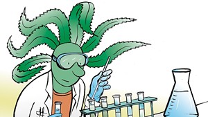 Vermont Cannabis Control Board Gets Funding for a Laboratory